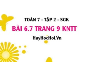 Bài 6.7 trang 9 Toán 7 Tập 2 Kết nối tri thức
